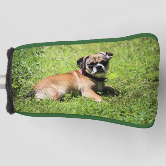 Molly Golf Head Cover Headcover (Vorderseite)