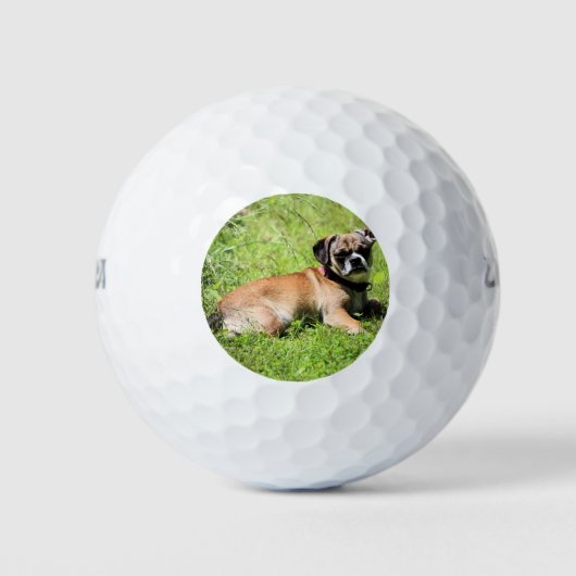 Molly Golfball (Vorderseite)