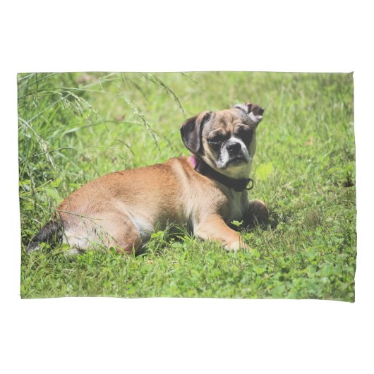 Molly Kissenbezug (Vorderseite)