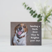 Molly lächelt! postkarte (Stehend Vorderseite)