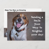 Molly lächelt! postkarte (Vorne/Hinten)