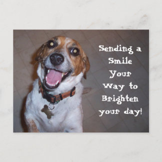 Molly lächelt! postkarte