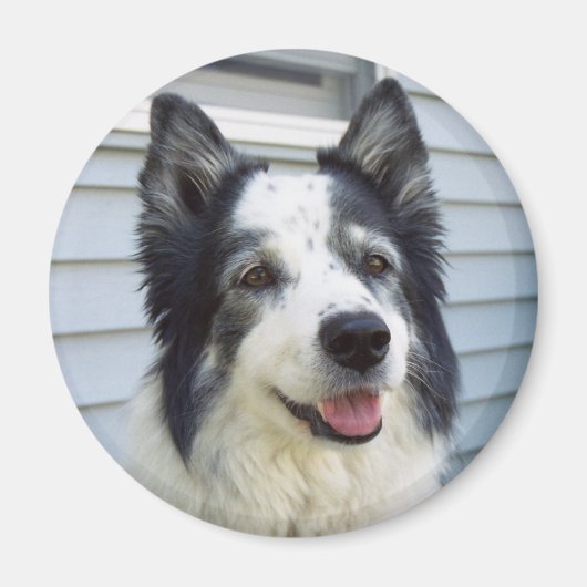 Molly Magnet (Vorne)