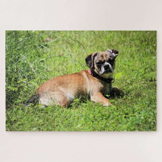 Molly Puzzle (Horizontal)