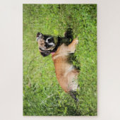 Molly Puzzle (Vertikal)