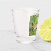 Molly Schnapsglas (Links)