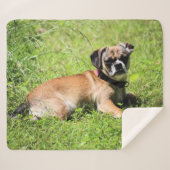 Molly Sherpadecke (Vorderseite (Horizontal))