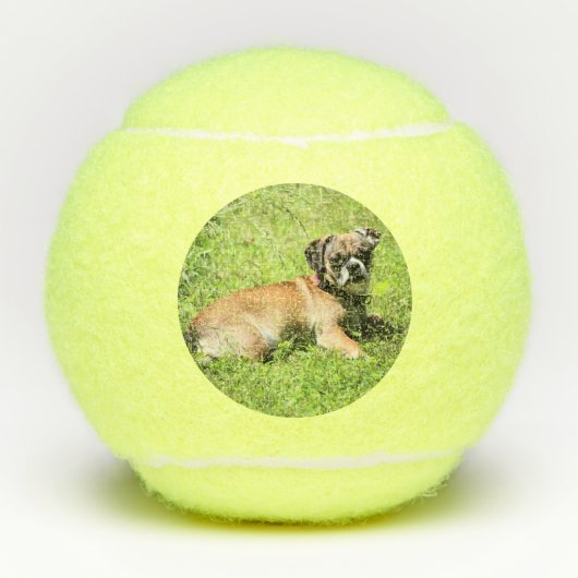 Molly Tennisbälle (Vorderseite)