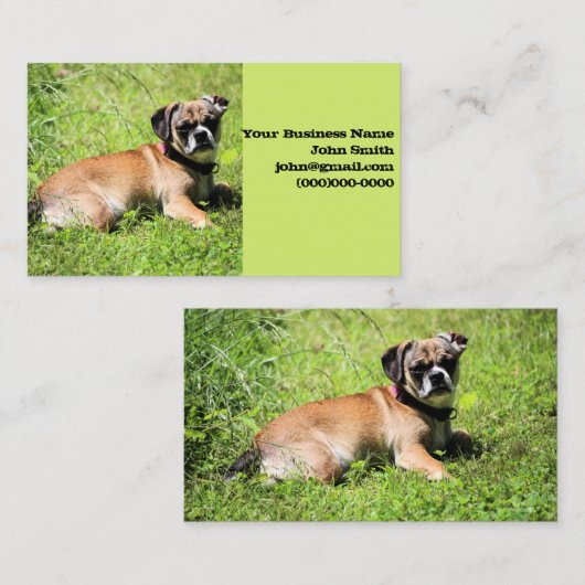 Molly Visitenkarte (Vorne/Hinten)