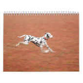 molo 2010 kalender (Titelbild)