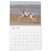 molo 2010 kalender (Mär 2027)