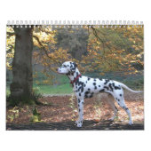 Molo Kalender (Titelbild)