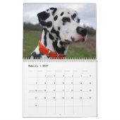 Molo Kalender (Feb 2027)