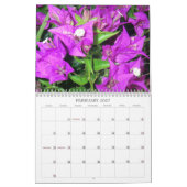 Molokai-Reflexionen Kalender (Feb 2027)