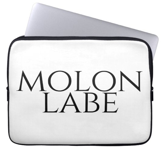 Molon Labe Laptopschutzhülle (Vorderseite)