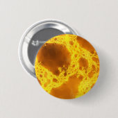 Molten Button (Vorne & Hinten)