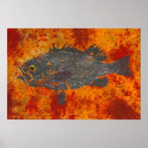 Molten Rockfish - 19" x 13" Poster