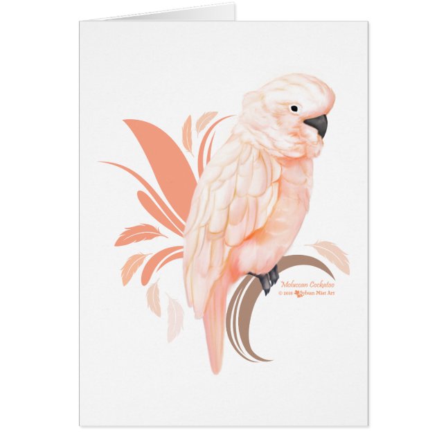 Moluccan Cockatoo (Vorne)