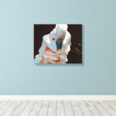 Moluccan Cockatoo-Leinwand Leinwanddruck (Insitu (Holzboden))