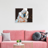 Moluccan Cockatoo-Leinwand Leinwanddruck (Insitu (Wohnzimmer))