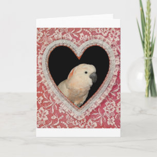 Moluccan Cockatoo Liebe Valentine Design Feiertagskarte