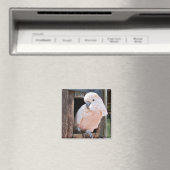 Moluccan Cockatoo Magnet (In Situ (Geschirrspüler))