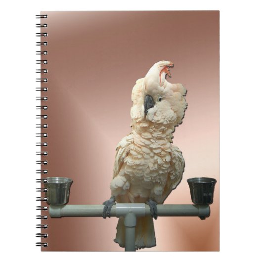 Moluccan Cockatoo-Notizbuch Notizblock (Vorderseite)