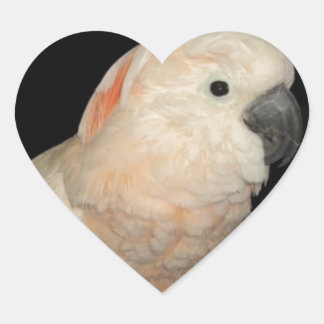 Moluccan Cockatoo Parrot Design Herz-Aufkleber