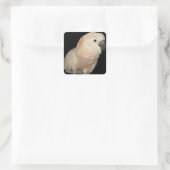 Moluccan Cockatoo Parrot Design Quadratischer Aufkleber (Tasche)