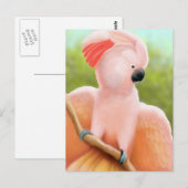 Moluccan Cockatoo Postcard Postkarte (Vorne/Hinten)