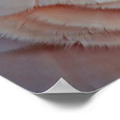 Moluccan Cockatoo Poster (Ecke)