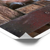 Moluccan Cockatoo Poster (Ecke)