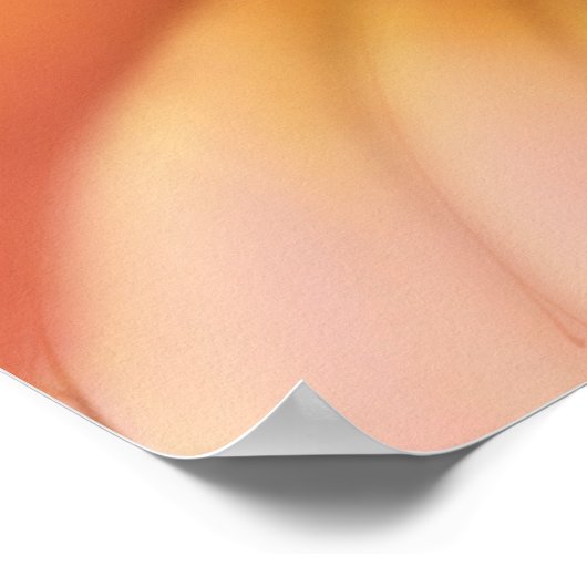 Moluccan Cockatoo Poster (Ecke)