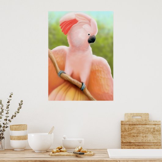 Moluccan Cockatoo Poster (Küche)