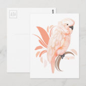Moluccan Cockatoo Postkarte (Vorne/Hinten)