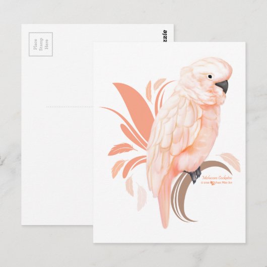 Moluccan Cockatoo Postkarte (Vorne/Hinten)