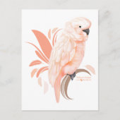Moluccan Cockatoo Postkarte (Vorderseite)