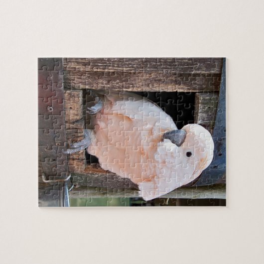 Moluccan Cockatoo Puzzle (Horizontal)
