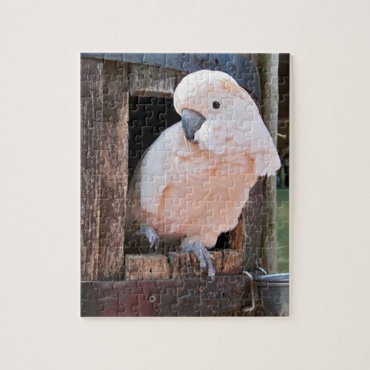 Moluccan Cockatoo Puzzle (Vertikal)