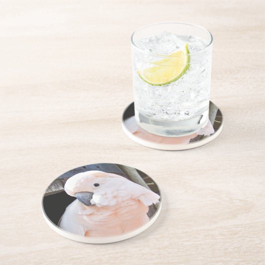 Moluccan Cockatoo Untersetzer (Seite)