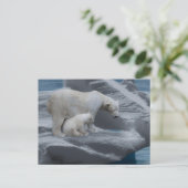 mom polar bear and baby postkarte (Stehend Vorderseite)
