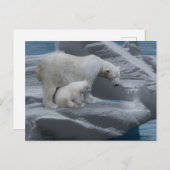 mom polar bear and baby postkarte (Vorne/Hinten)