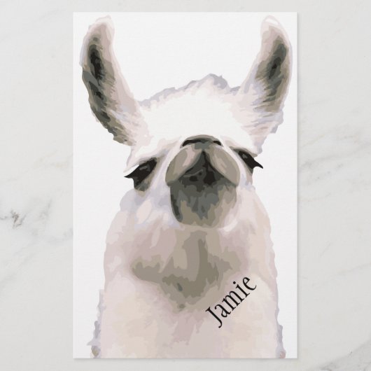 Moma Llama Briefpapier (Vorderseite)