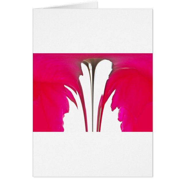 Moment erobert: Eine Rote Rose Petal Elegance (Vorne)