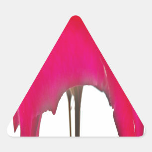 Moment erobert: Eine Rote Rose Petal Elegance Dreieckiger Aufkleber