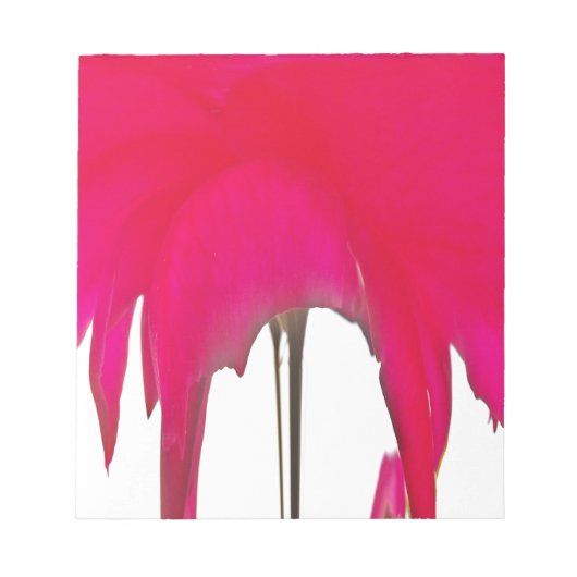 Moment erobert: Eine Rote Rose Petal Elegance Notizblock (Vorderseite)