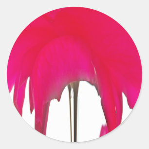 Moment erobert: Eine Rote Rose Petal Elegance Runder Aufkleber