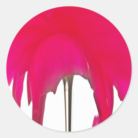 Moment erobert: Eine Rote Rose Petal Elegance Runder Aufkleber (Vorderseite)