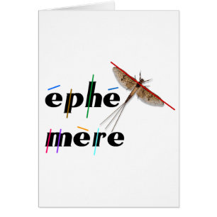 momentane Ephemere