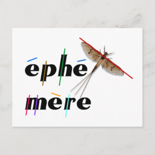 momentane Ephemere Postkarte
